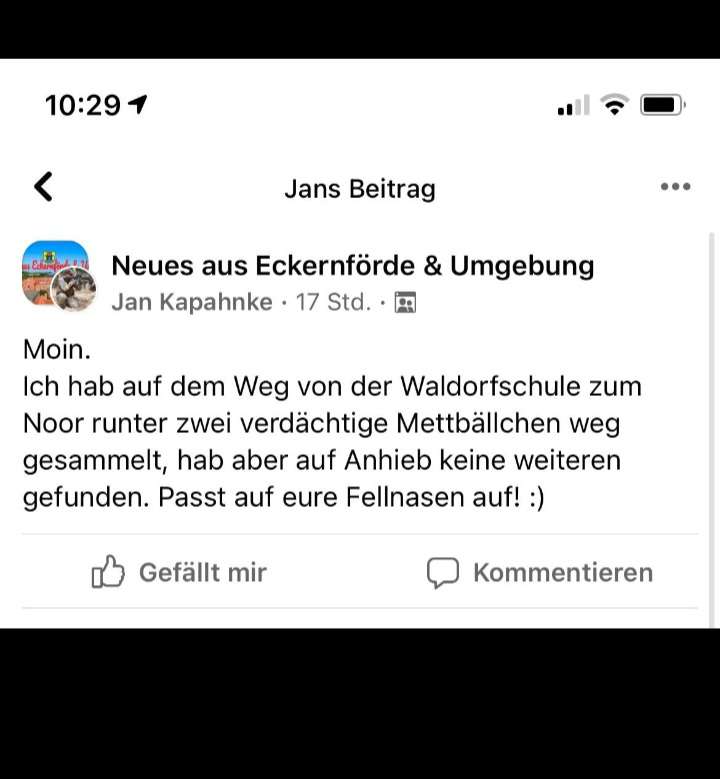 Giftköder-Mettbällchen-Profilbild