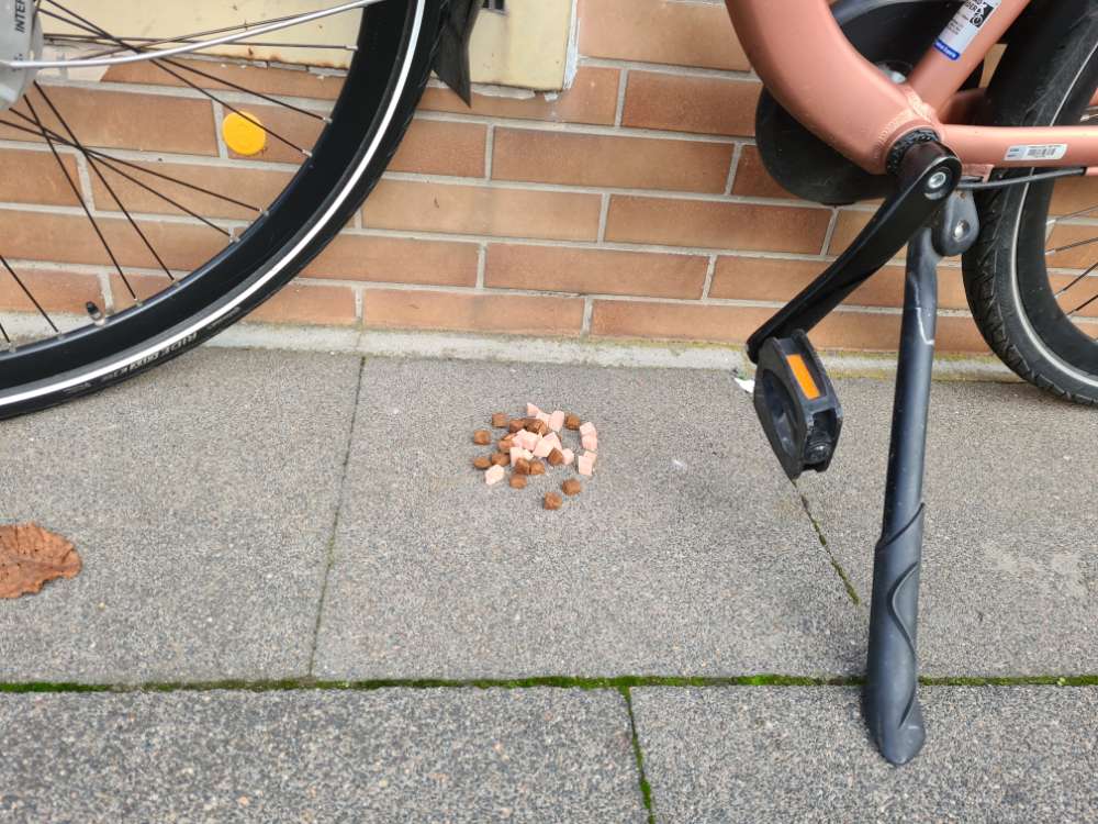 Giftköder-Möglicher Giftköder-Profilbild