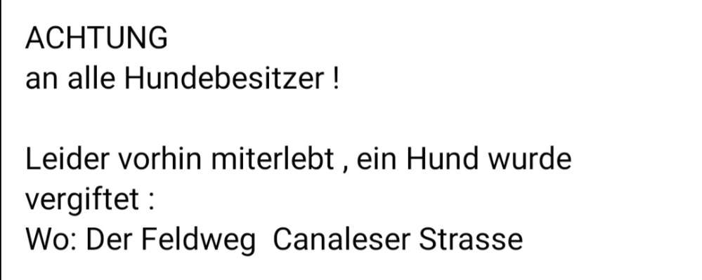 Giftköder-Wahrscheinlich Giftköder-Profilbild