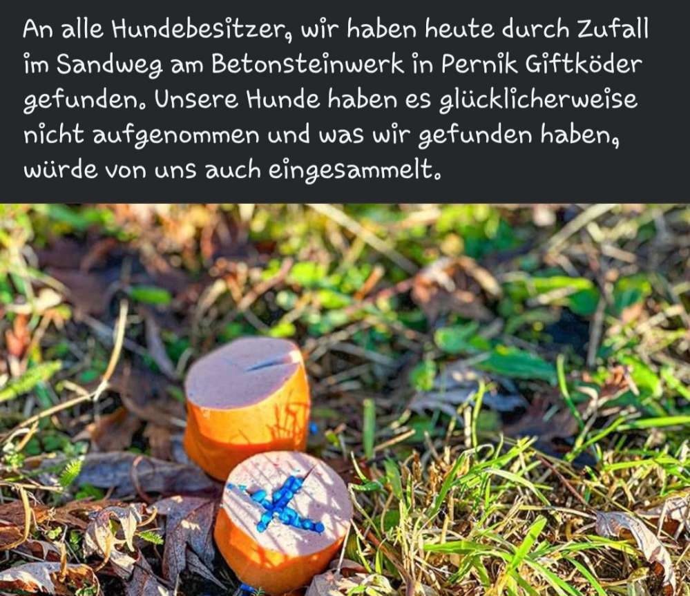 Giftköder-Giftköder-Profilbild