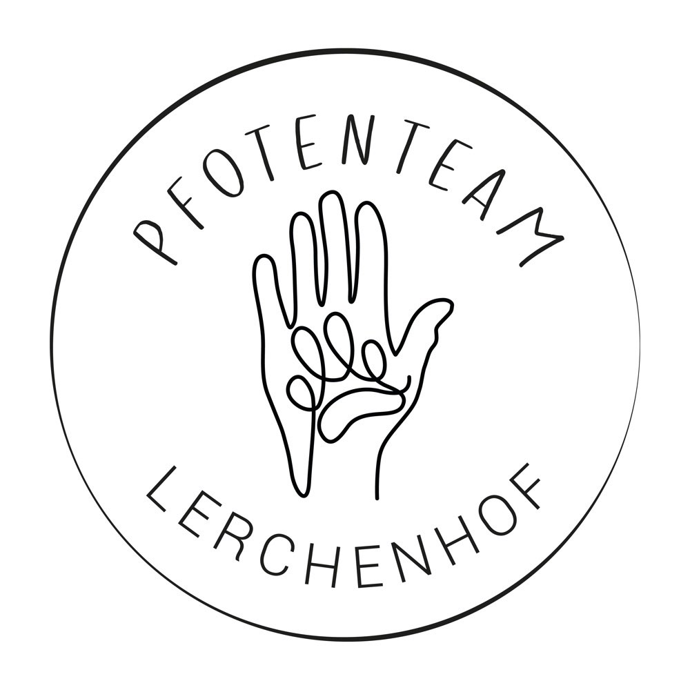 Hundetreffen-Spiel und Spaß mit dem Hund-Profilbild