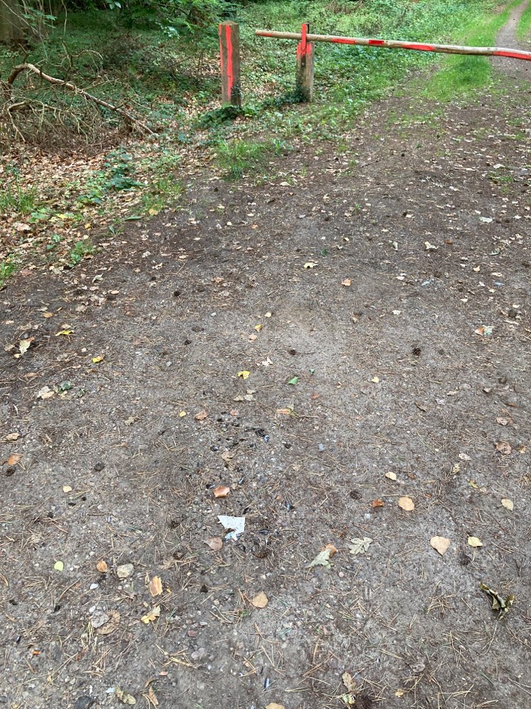 Giftköder-Glasscherben-Profilbild