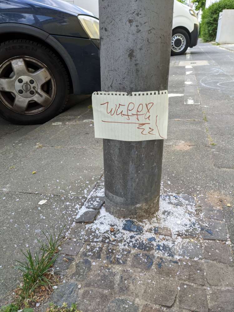 Giftköder-Giftköder an Straßenlaterne-Profilbild