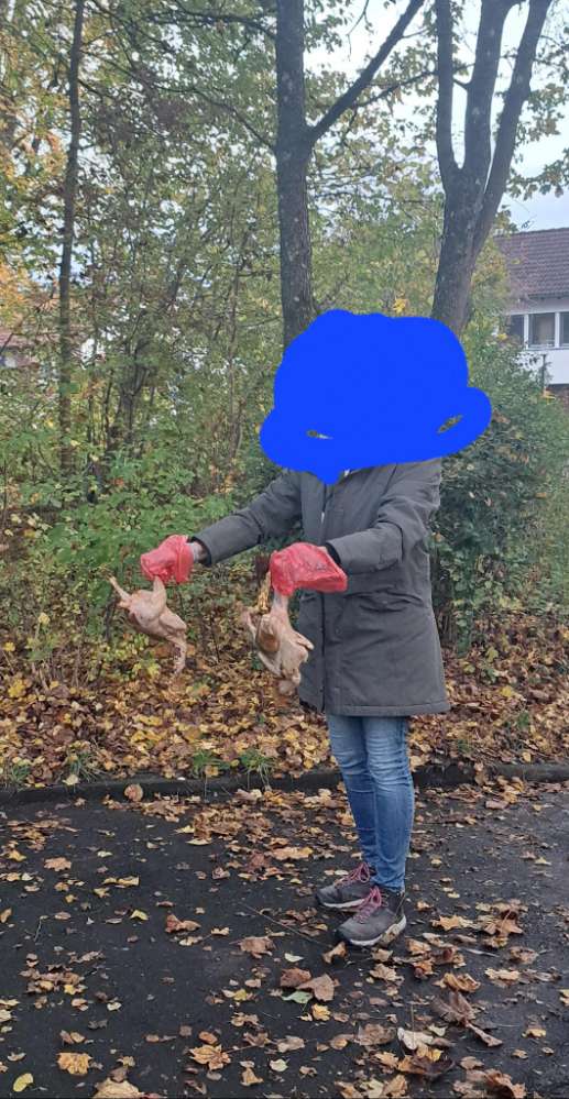 Giftköder-Zwei ganze Hühnchen im Gebüsch-Profilbild