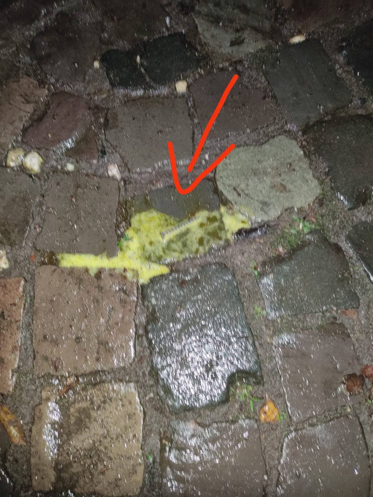 Giftköder-Köder mit Schrauben-Profilbild