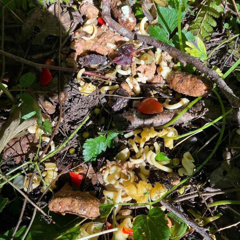 Giftköder-Essensreste und Hundefutter-Profilbild