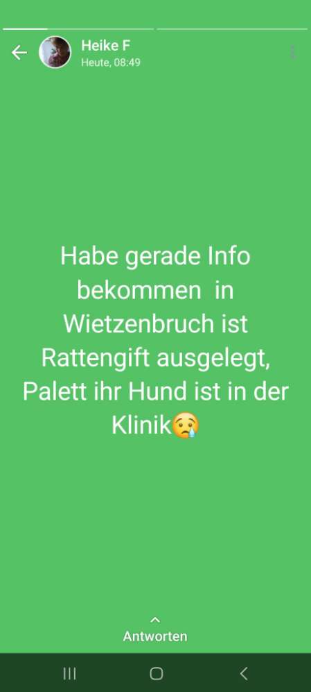 Giftköder-Vorsicht Giftköder in Wietzenbruch-Profilbild