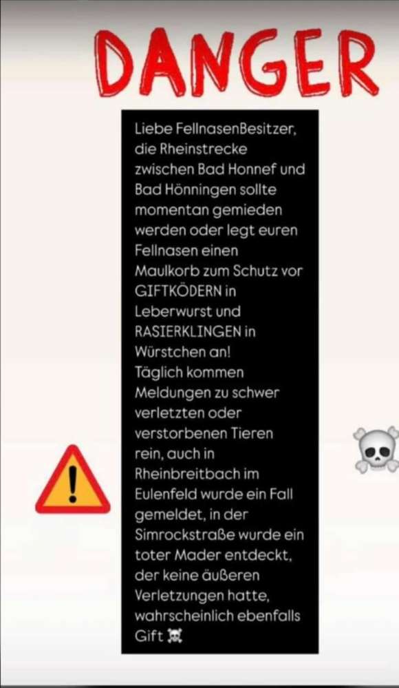 Giftköder-Giftköder-Profilbild