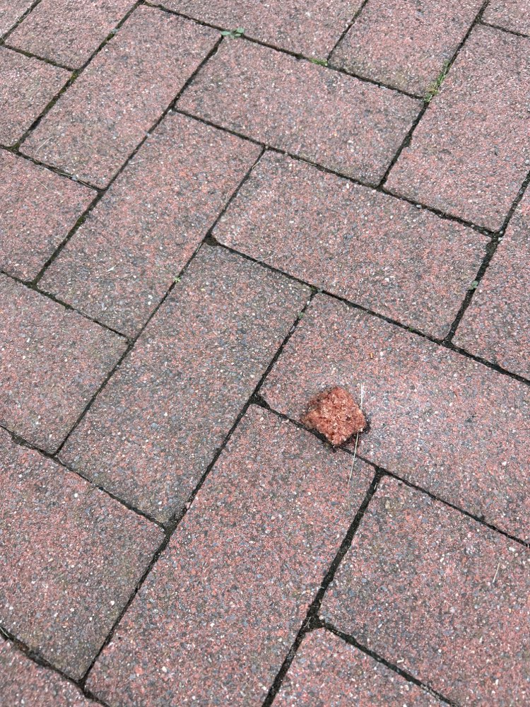 Giftköder-Giftköder?-Profilbild