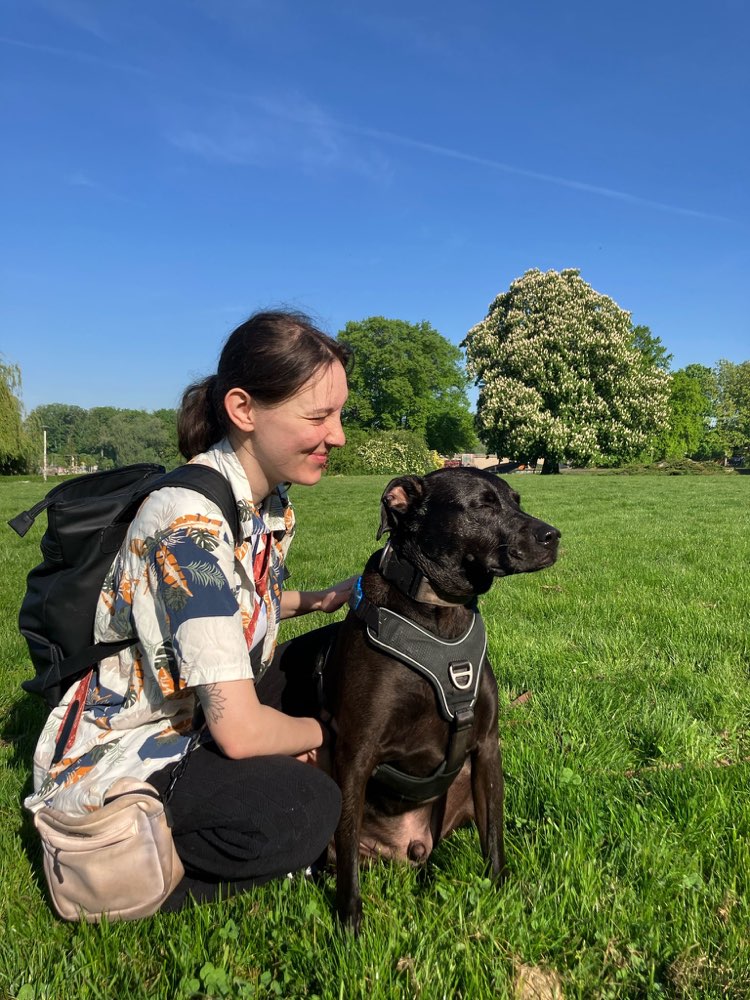 Hundetreffen-Kontrollierte Hundebegegnungen für reaktive Hunde-Profilbild