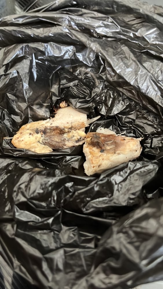 Giftköder-Hähnchenfleisch-Profilbild