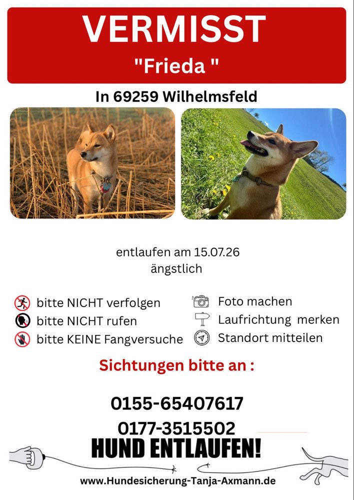 Suchmeldung-Frieda-Profilbild