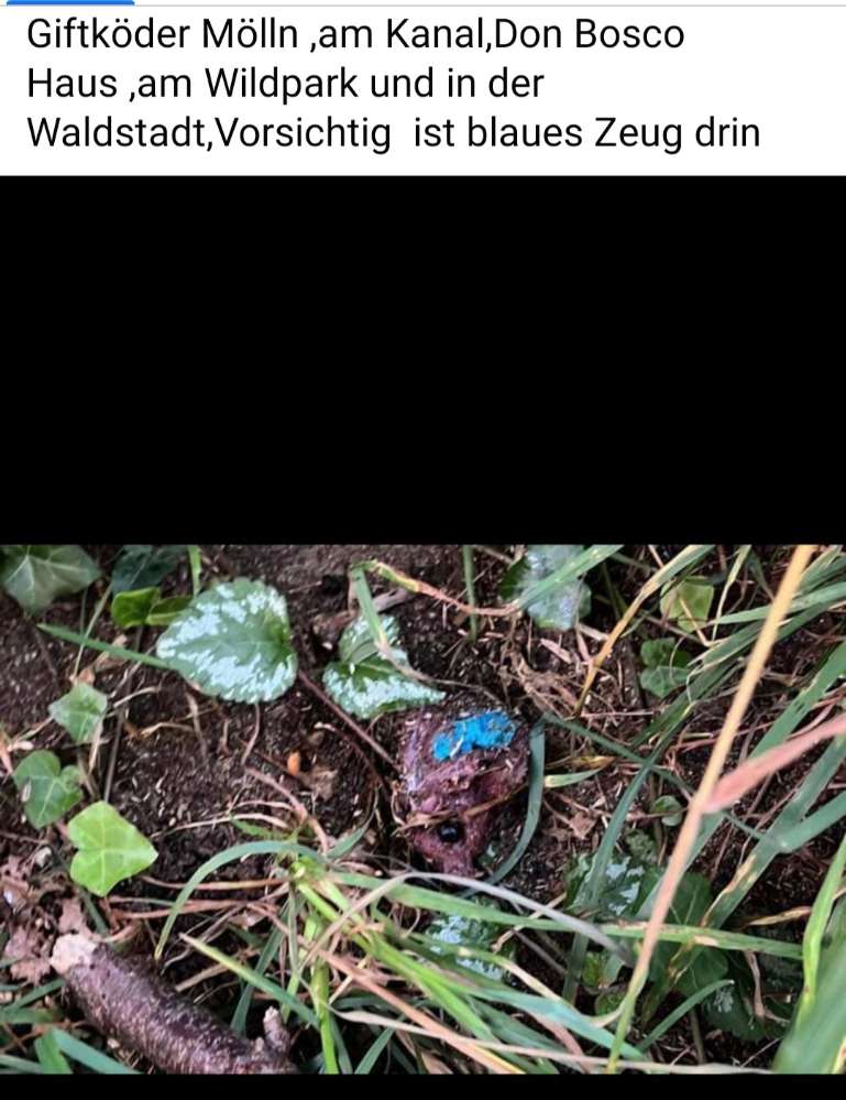 Giftköder-Giftköder Mölln-Profilbild