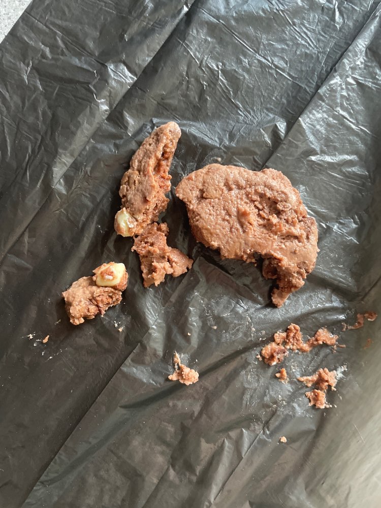 Giftköder-Vermutlicher Giftköder-Profilbild