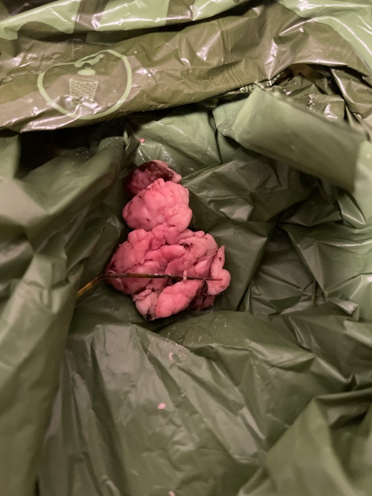 Giftköder-Potenzieller Giftköder-Profilbild