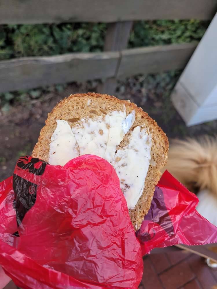 Giftköder-Mit Metallstückchen besticktes Brot-Profilbild