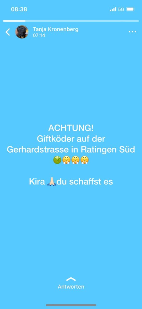 Giftköder-Giftköder Gerhardstraße-Profilbild