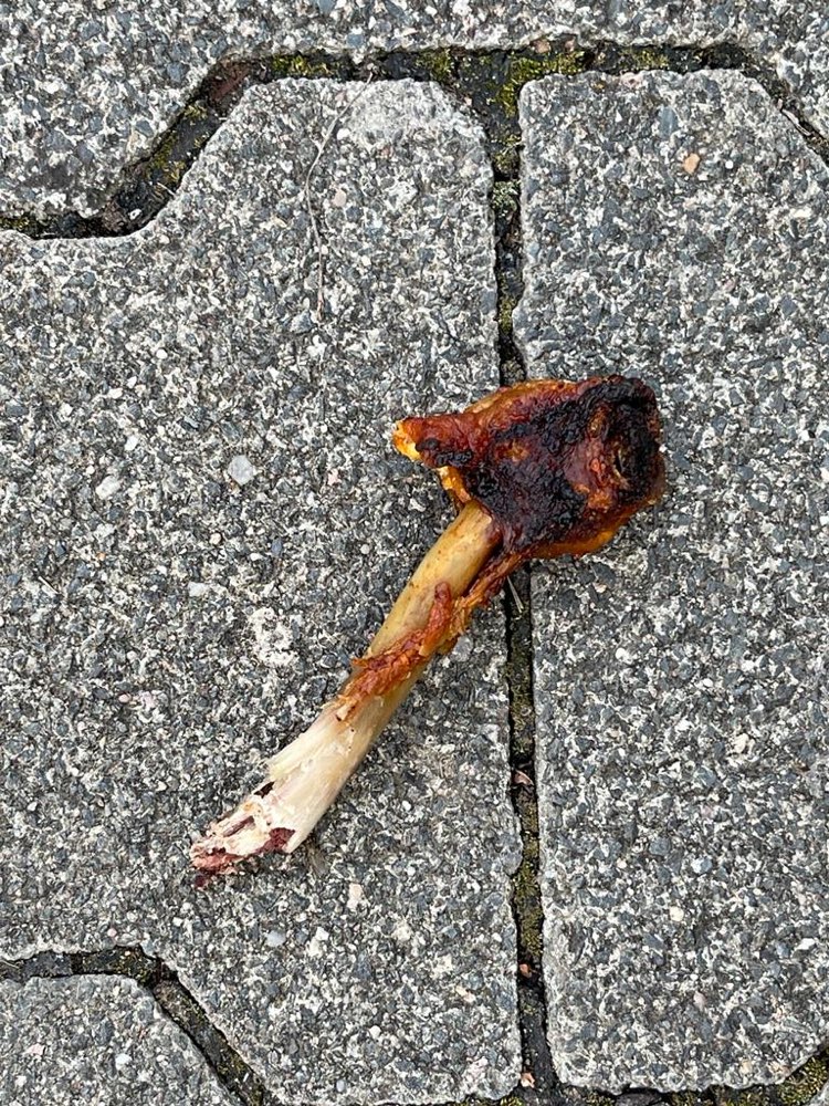 Giftköder-Fleisch und Knochen Neckarsulm Neuberg-Profilbild