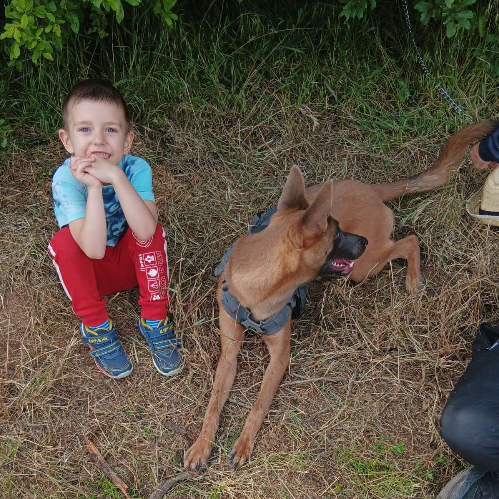 Hundetreffen-Lindleismühle-Profilbild