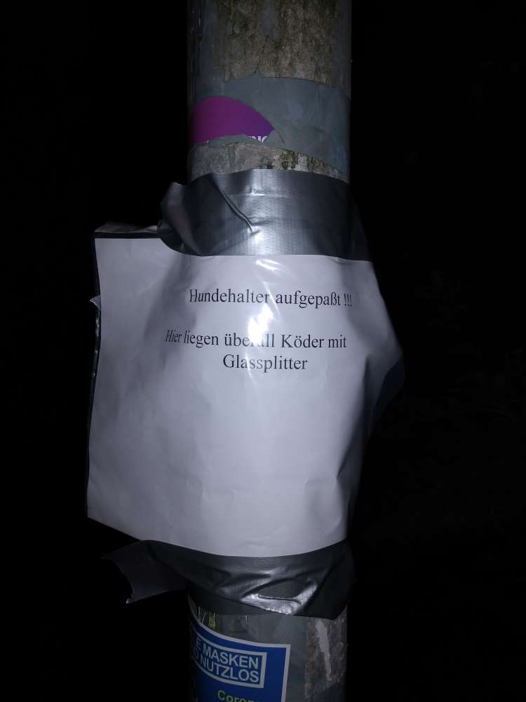 Giftköder-Giftköder mit Glasscherben-Profilbild