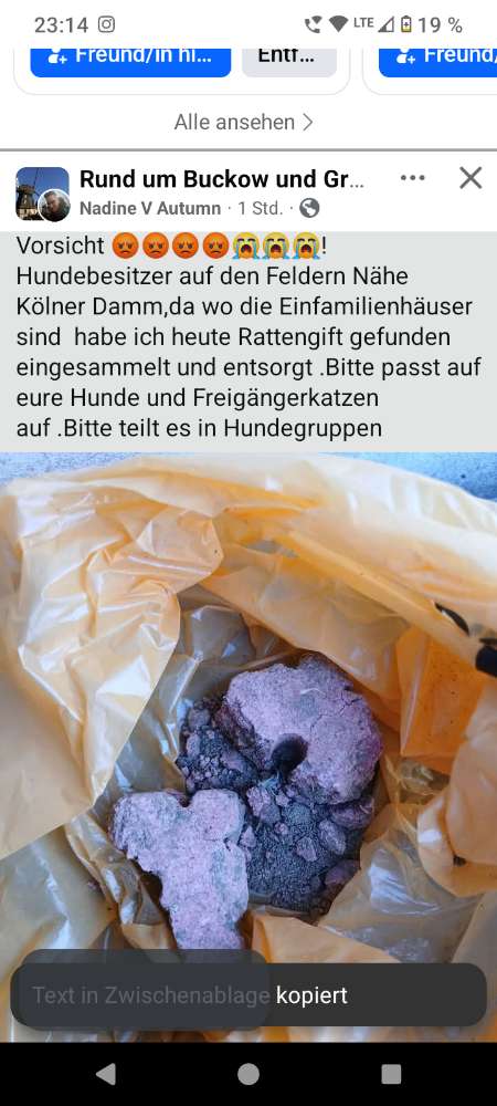 Giftköder-Rattengift auf dem Feld-Profilbild