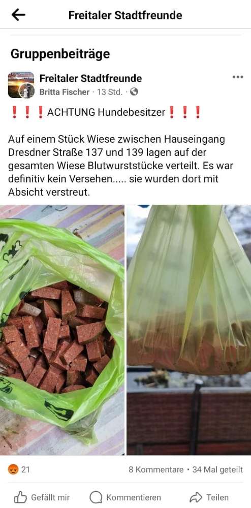 Giftköder-‼️ Giftköder ‼️-Profilbild