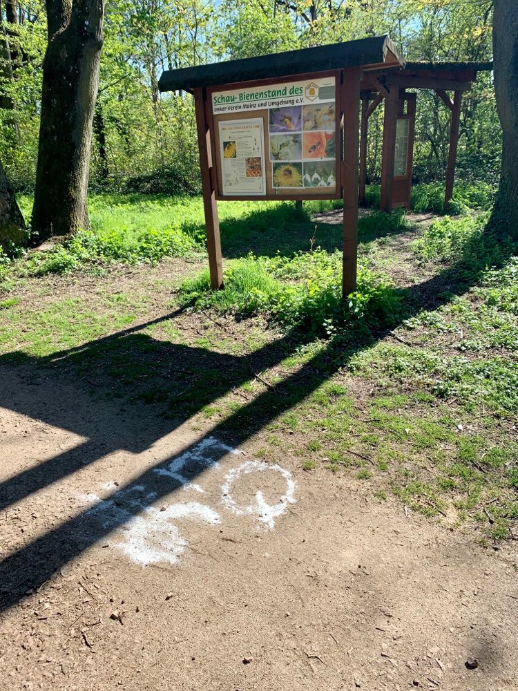 Giftköder-Weißes Pulver (Drususwall-Anlage)-Profilbild
