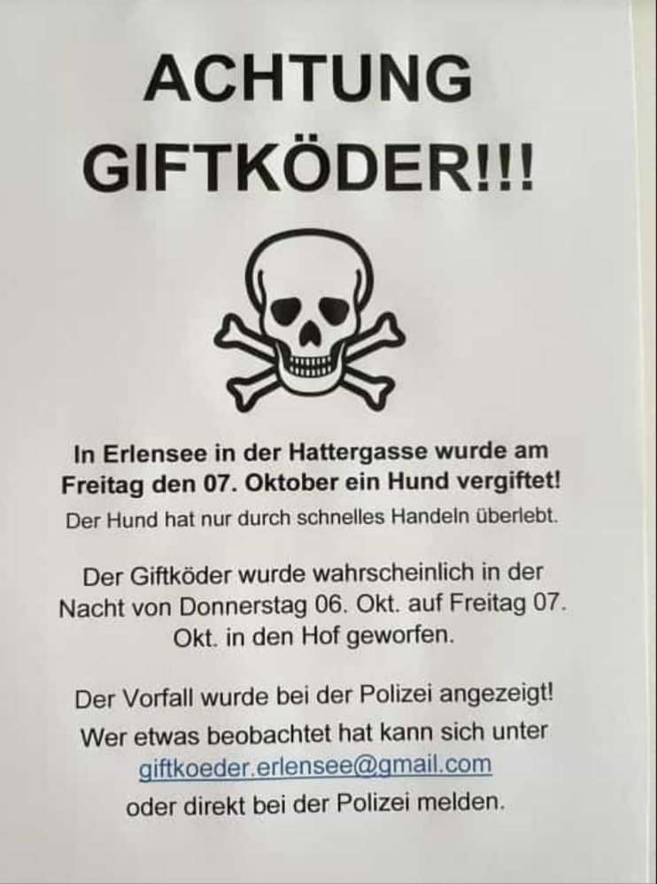 Giftköder-Giftköder in Dammnähe Erlensee-Rückingen-Profilbild