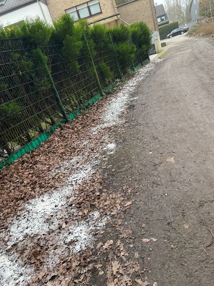 Giftköder-Unbekanntes Pulver-Profilbild