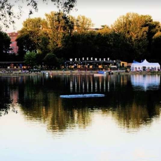 Hundetreffen-Bolonka Treffen Weißensee-Profilbild