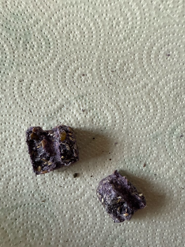 Giftköder-Rattengift bei Madam Eule Schloßallee-Profilbild