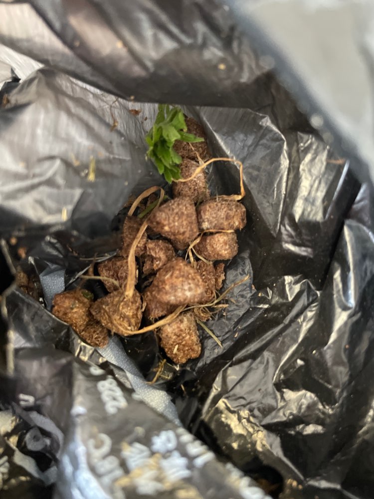 Giftköder-Trockenfutter-Häufchen im Gras-Profilbild