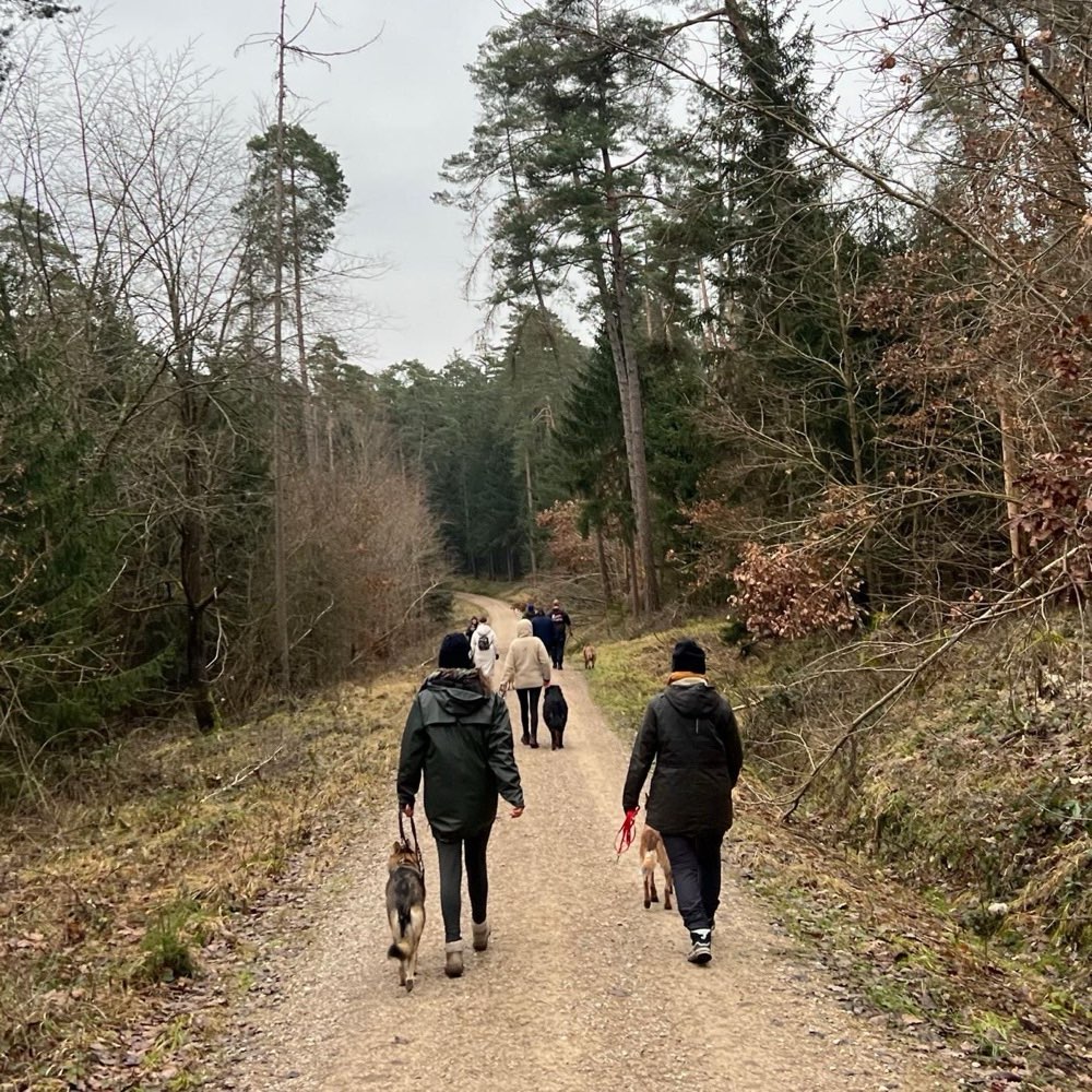 Hundetreffen-Aktive Trainingsgruppe Landkreis Roth-Profilbild