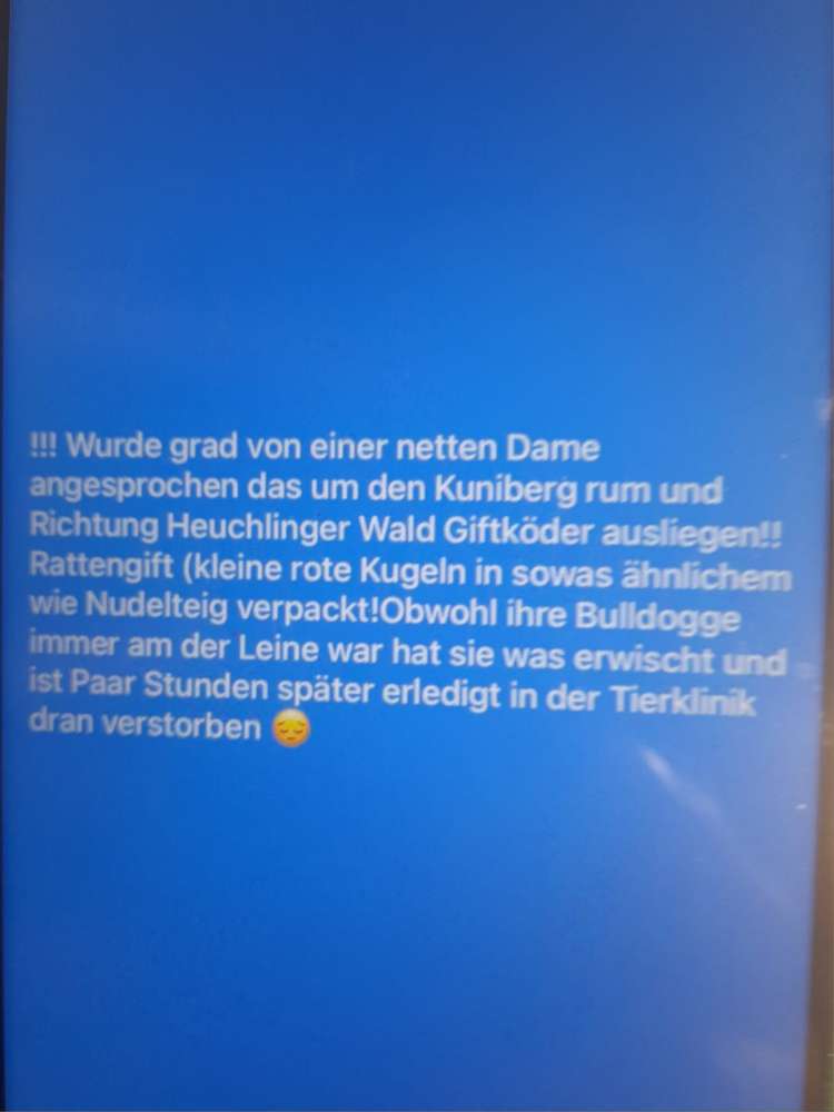 Giftköder-Eventuell Giftköder Kunigundenberg-Profilbild