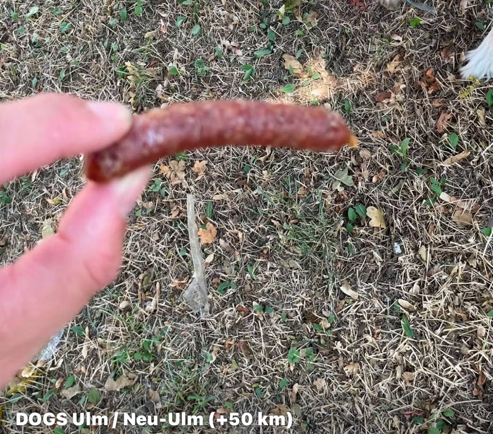 Giftköder-Würste mit kleinen Nadeln-Profilbild