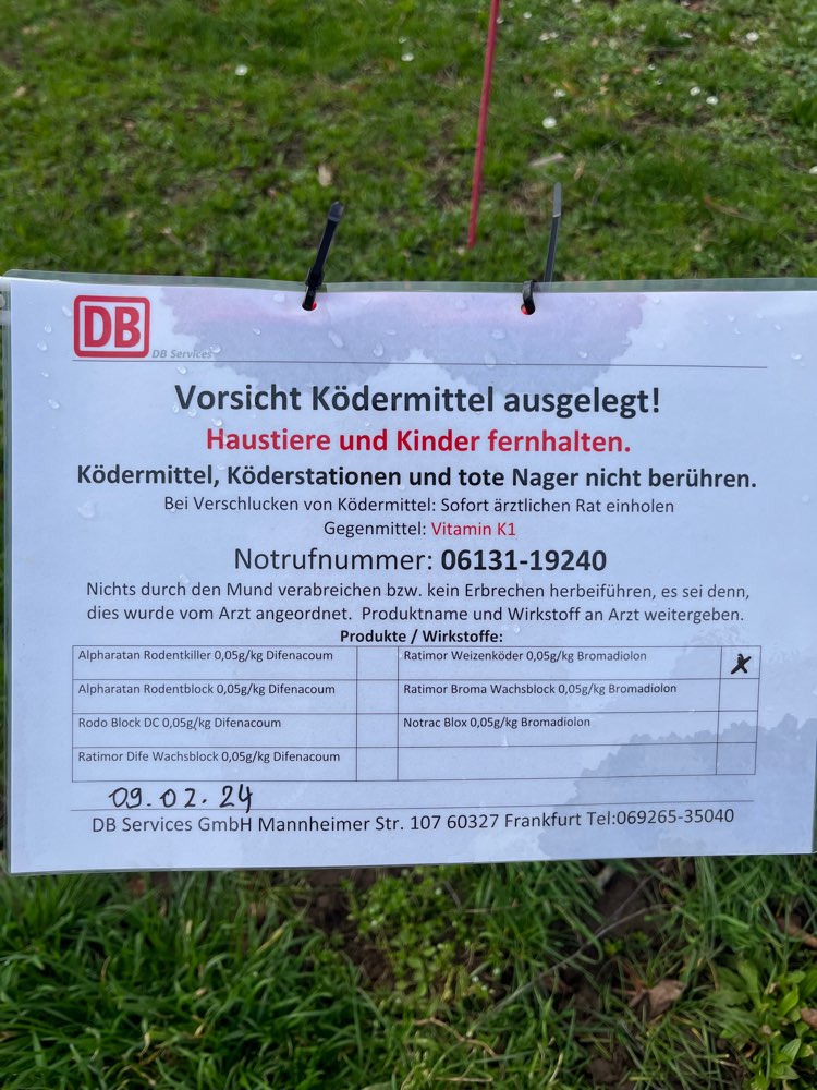 Giftköder-Giftköder-Profilbild