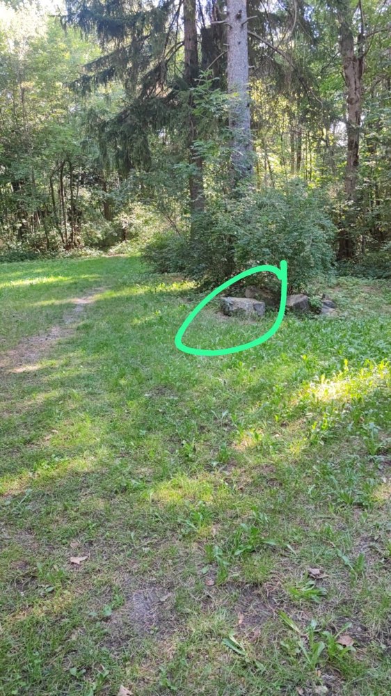 Giftköder-Giftköder-Profilbild