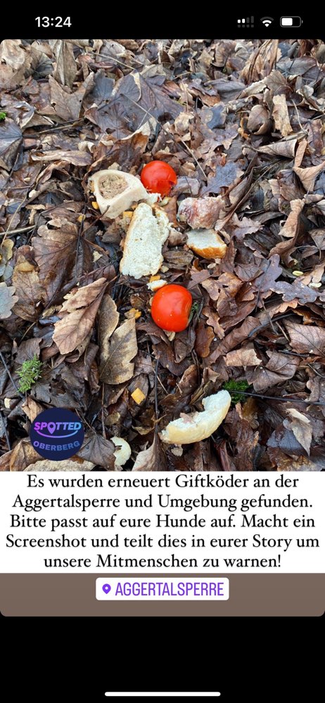 Giftköder-Giftköder-Profilbild