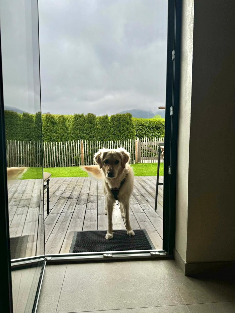 Hundetreffen-Gassi- und Spielfreunde Kontaktbereit-Profilbild