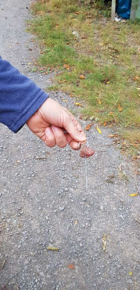 Giftköder-Wurst am Spieß,Wurst mit Schrauben-Profilbild