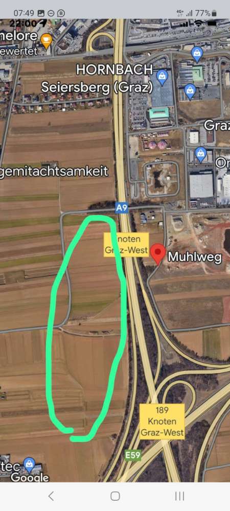 Giftköder-Giftköder-Profilbild