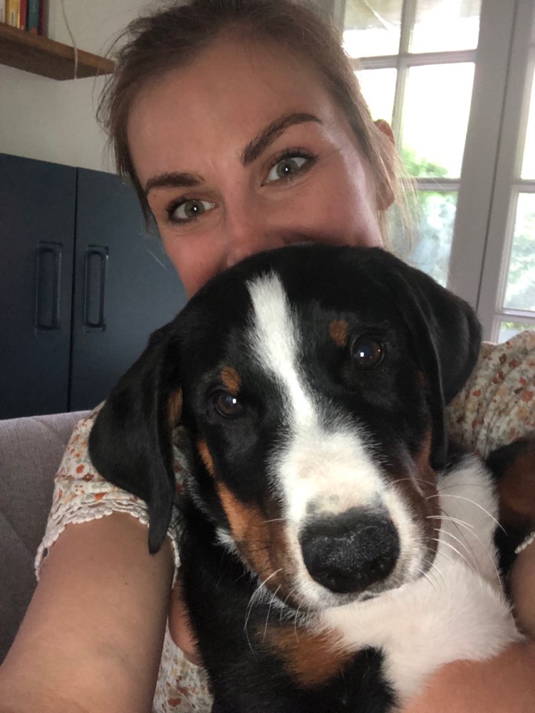 Hundetreffen-Gemeinsame Spaziergänge mit Louie-Profilbild