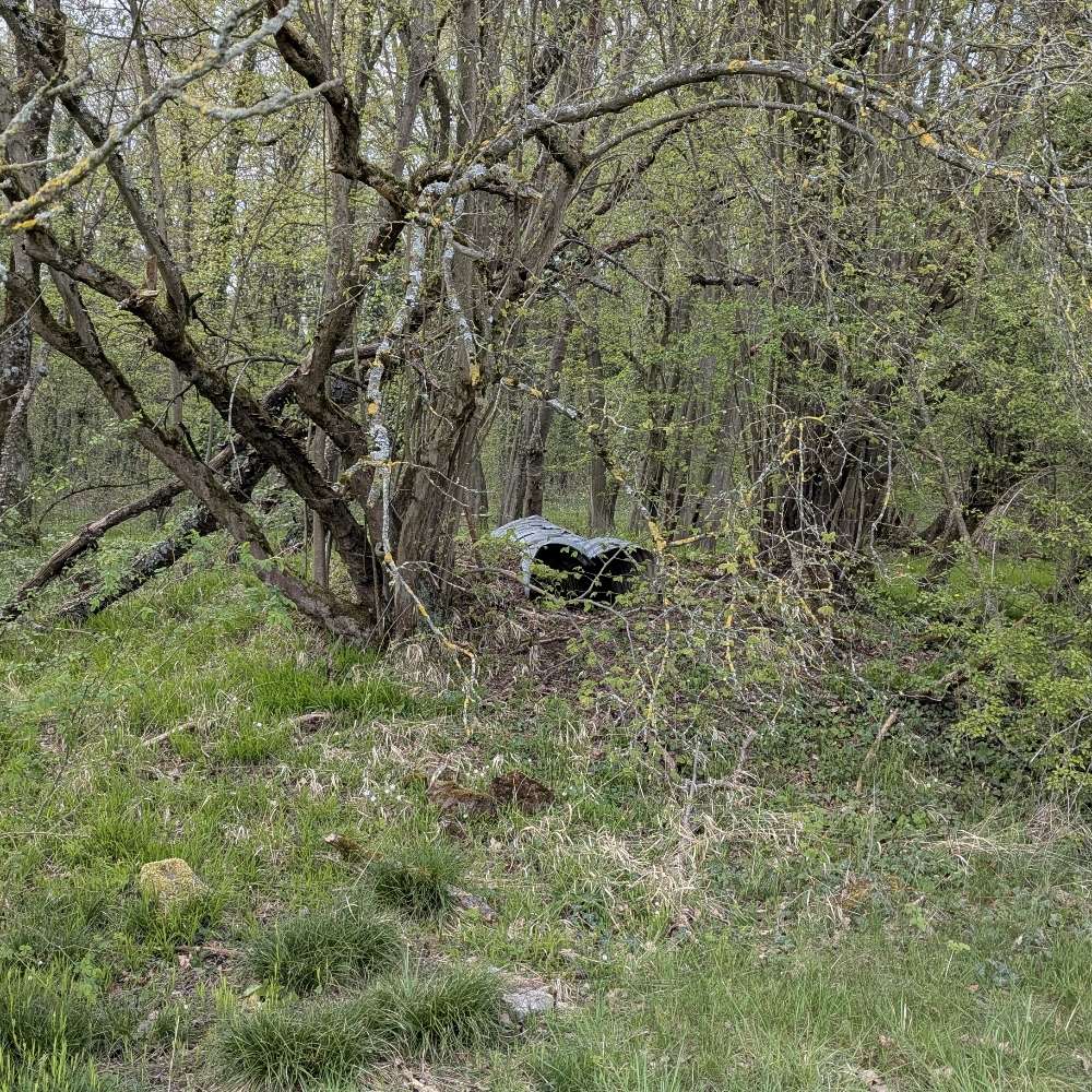 Giftköder-Totes Tier unter Blech-Profilbild