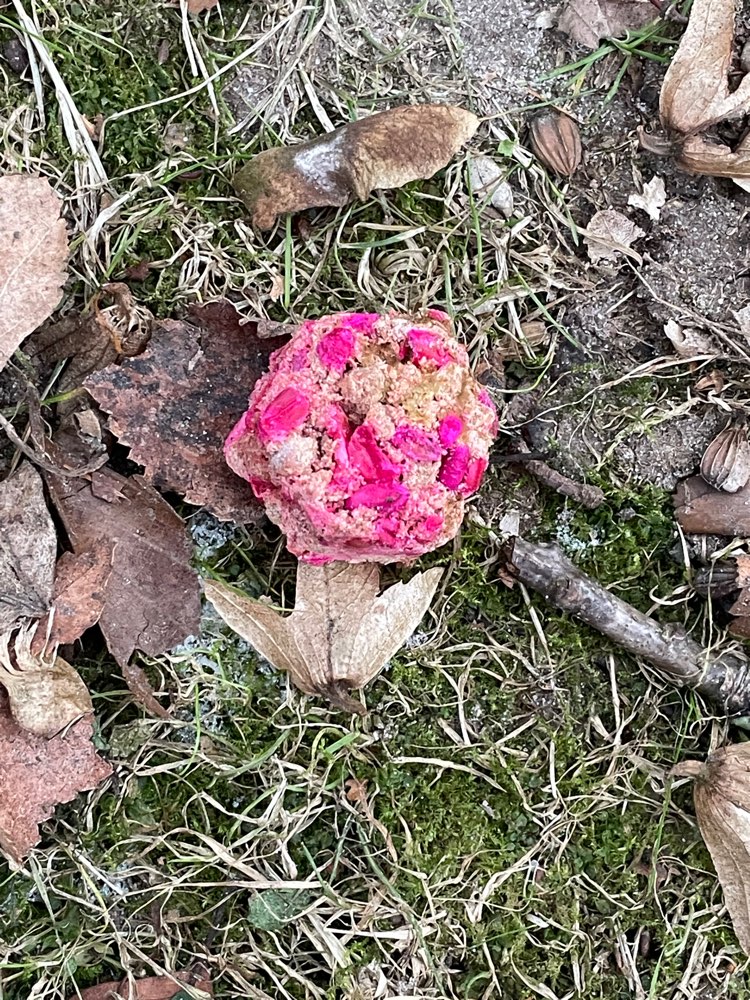 Giftköder-Giftköder Hohnerkampsiedlung-Profilbild