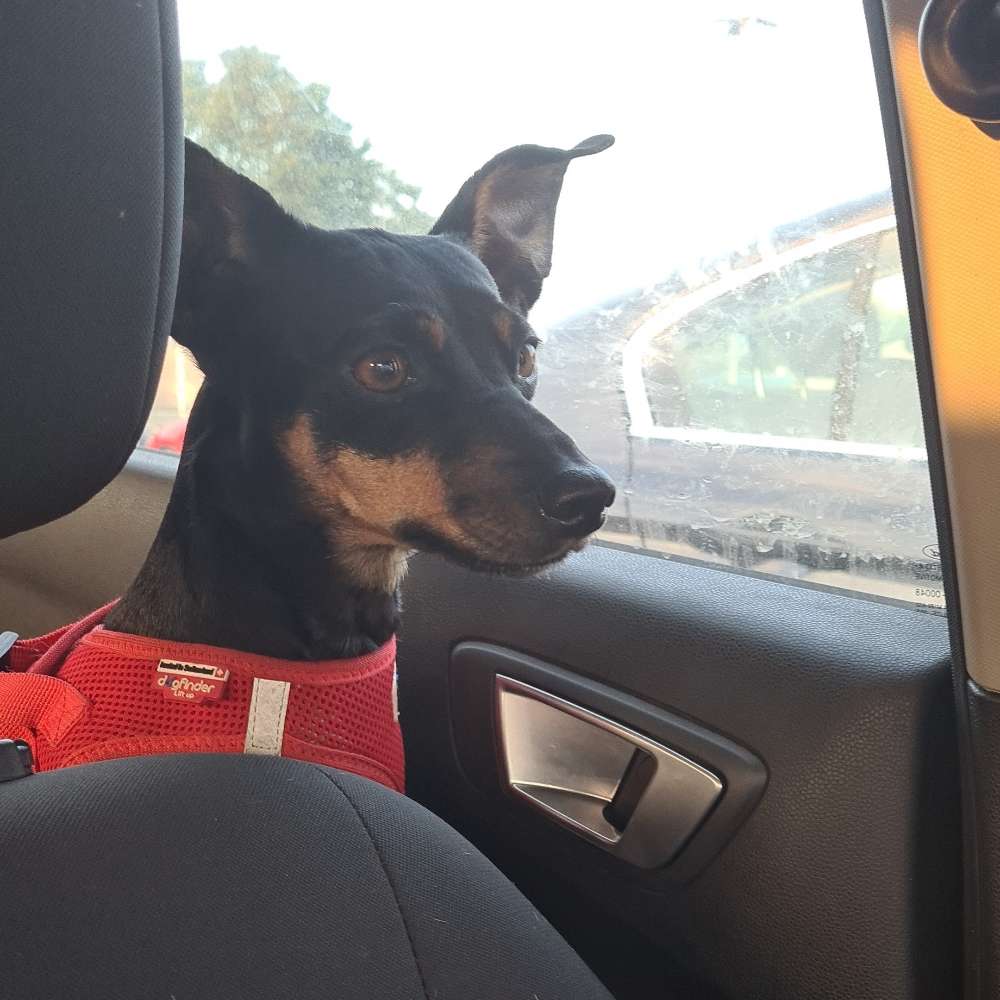 Suchmeldung-Malu-Profilbild