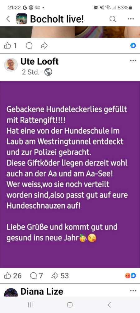 Giftköder-Giftköder-Profilbild