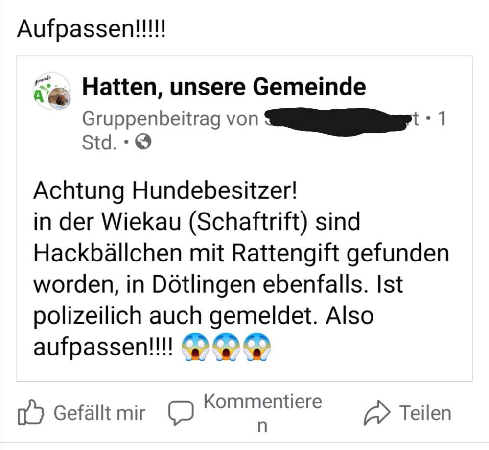 Giftköder-Giftköder-Profilbild