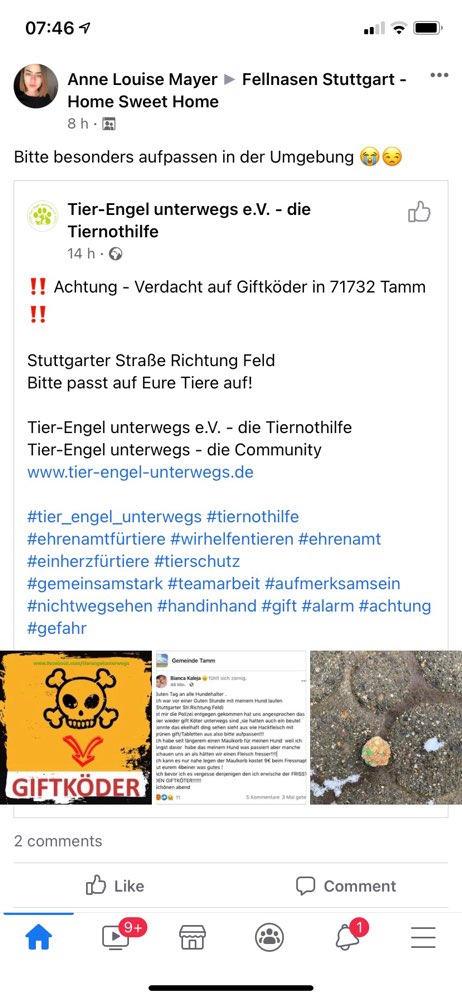 Giftköder-Giftköder in Tamm-Profilbild