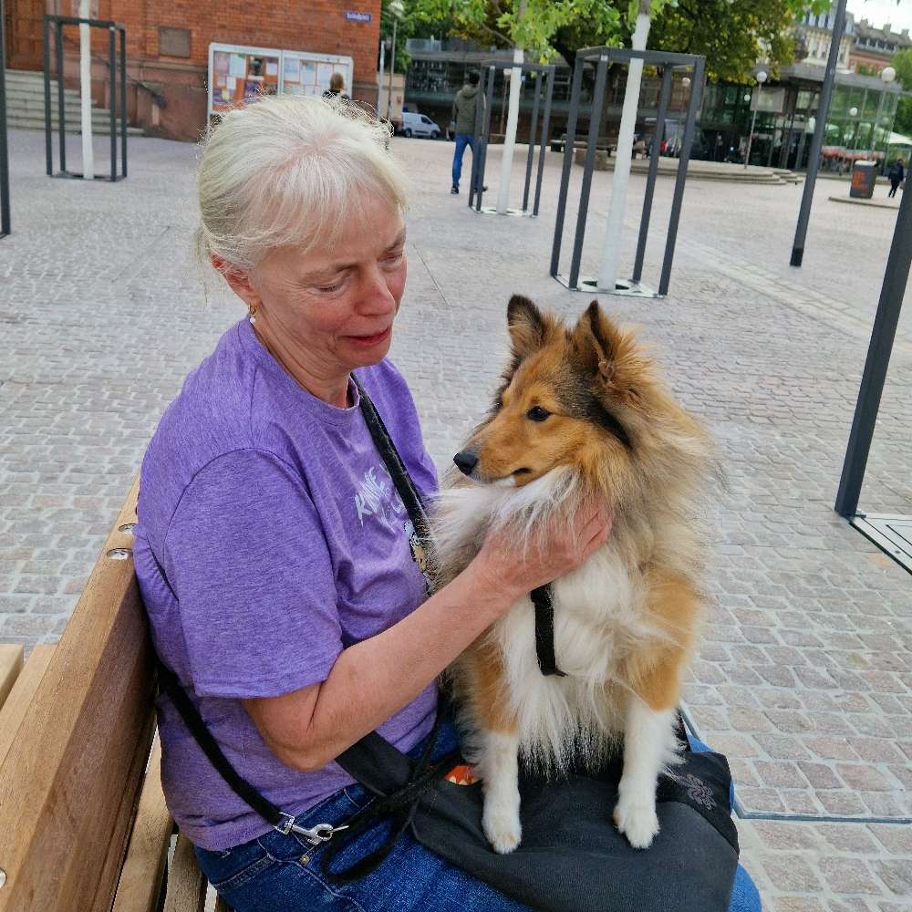 Hundetreffen-Treffen mit sensiblen Flitzern ...-Profilbild