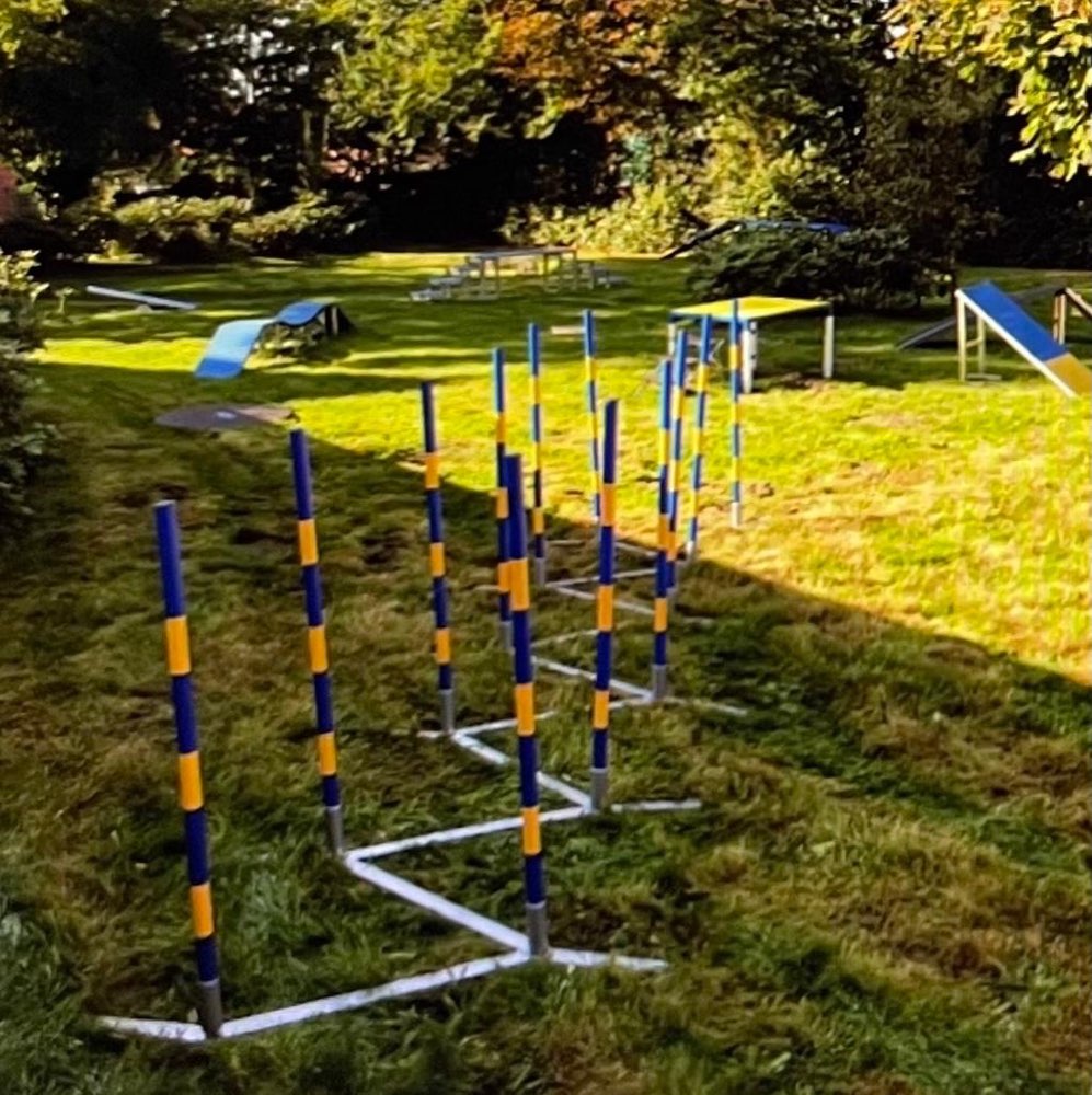 Hundetreffen-HANKENHOF‘s Hunde Fitness-Garten-Profilbild